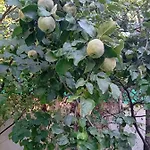 Garsoniera Cu Bucatarie, Iulius Mall *
