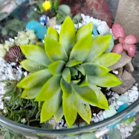 Lägenhet Garsoniera Cu Bucatarie, Iulius Mall