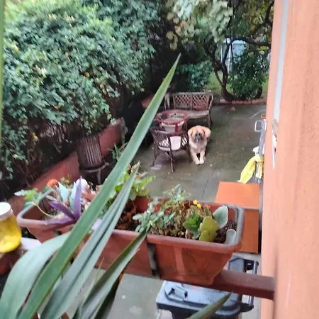 Garsoniera Clara, La Casa * Timisoara