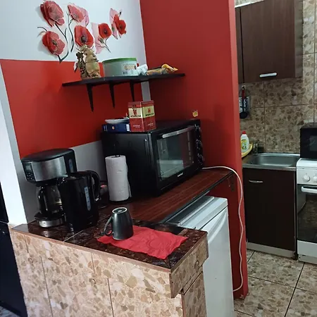 Garsoniera Cu Bucatarie, Iulius Mall Lägenhet