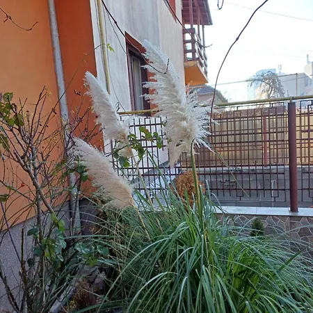 Garsoniera Clara, La Casa Timisoara