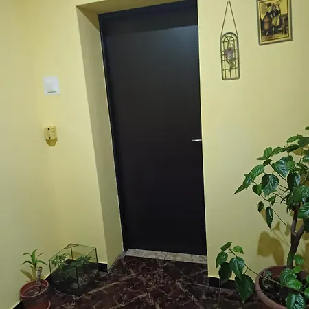 Garsoniera Clara, La Casa Timisoara