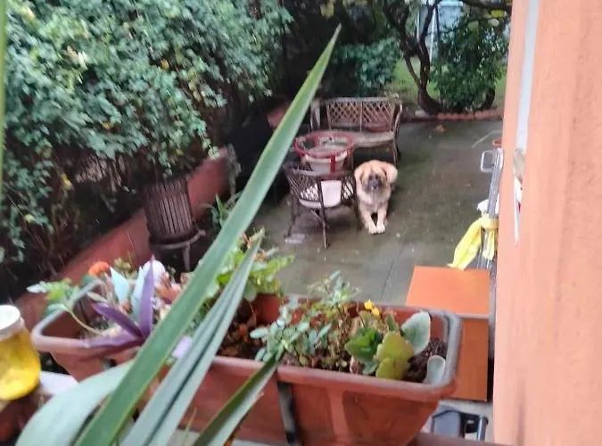 Garsoniera Cu Bucatarie, Iulius Mall * Timişoara