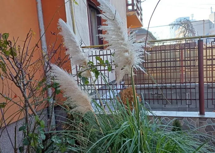 Garsoniera Cu Bucatarie, Iulius Mall Тімішоара