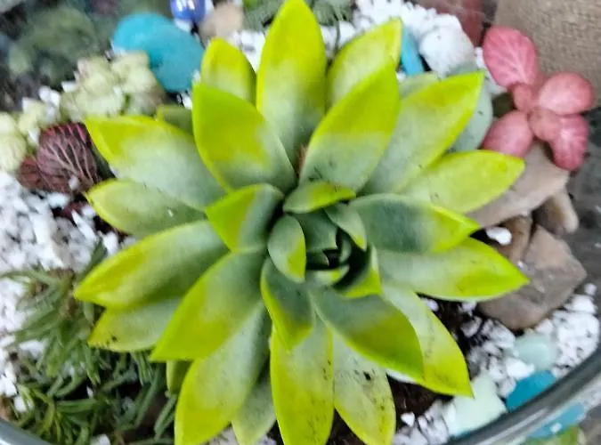 Appartement Garsoniera Cu Bucatarie, Iulius Mall