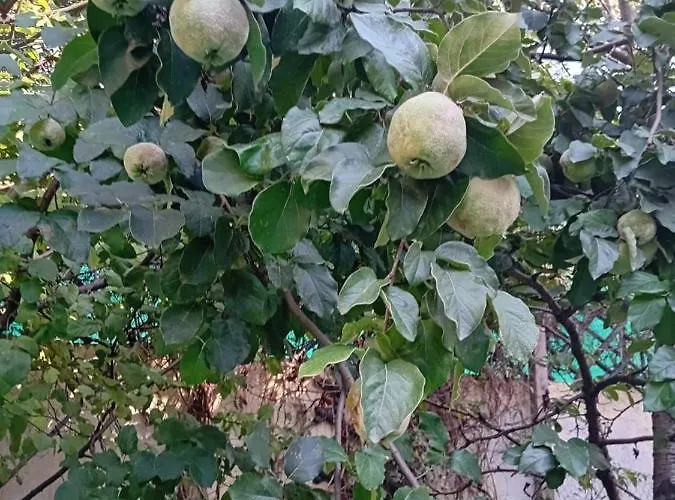 Garsoniera Cu Bucatarie, Iulius Mall *