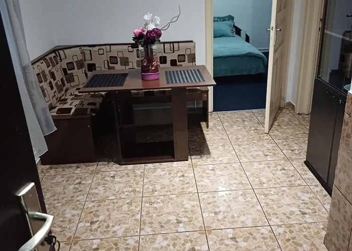 Garsoniera Cu Bucatarie, Iulius Mall * Timişoara